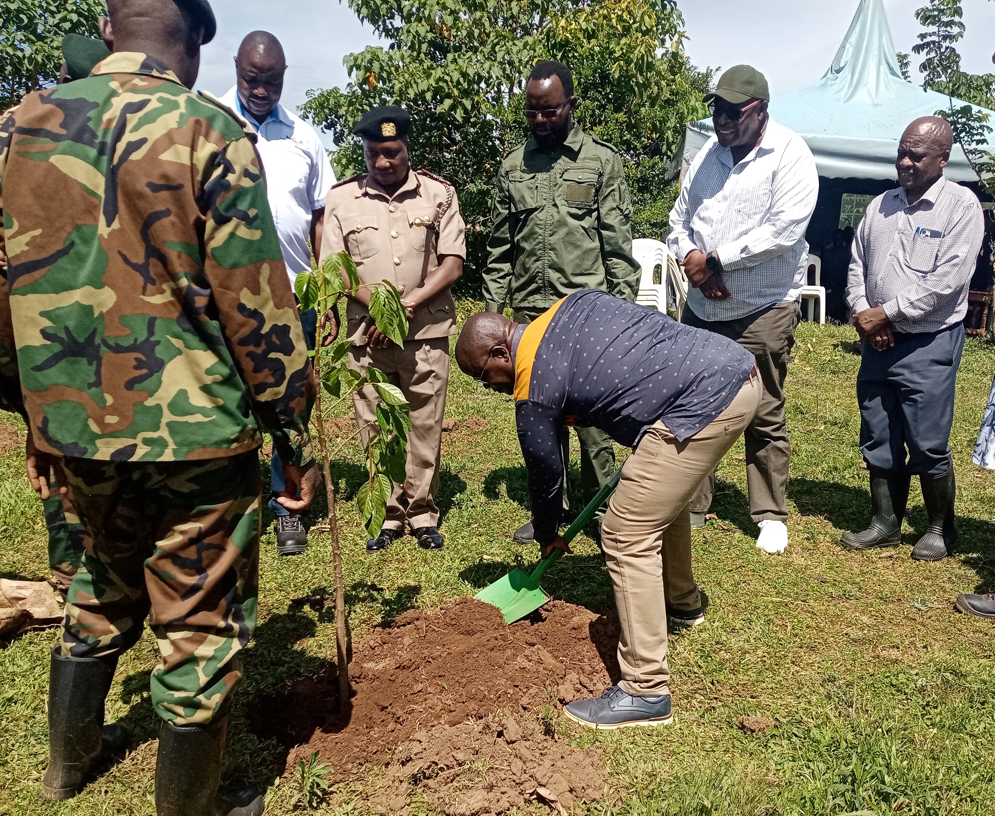 NCA launches drive to restore 30,000 acres of Kakamega forest