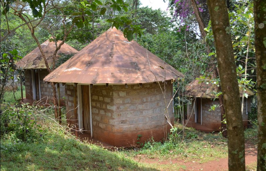 State plans to rehabilitate Mukurwe wa Nyagathanga