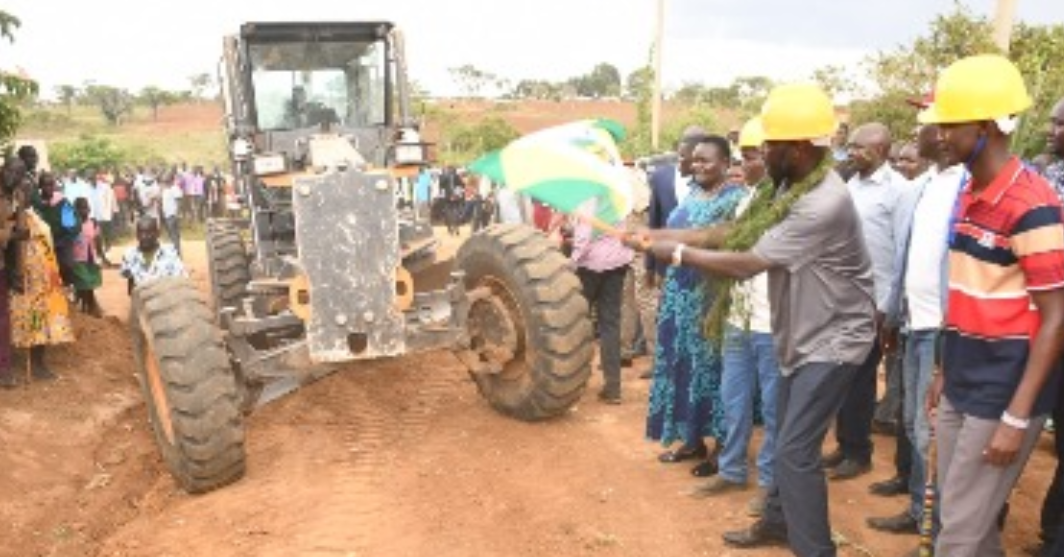 West Pokot rolls out coffee and avocado farming