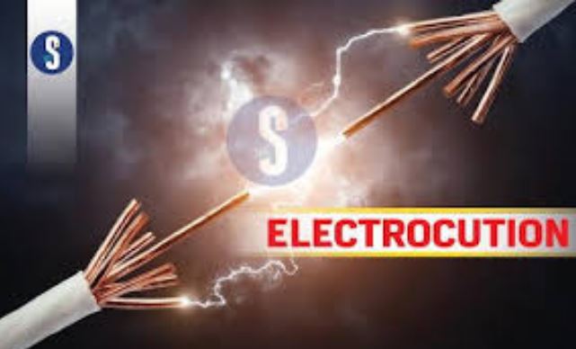 Deadly Gamble: Man electrocuted in botched vandalism