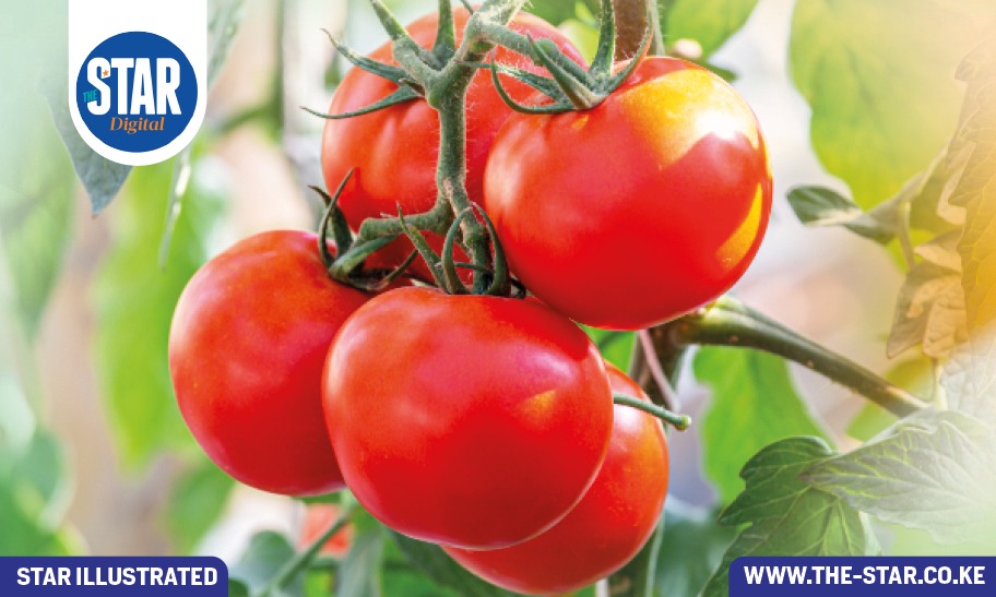 How climate change is affecting your tomatoes