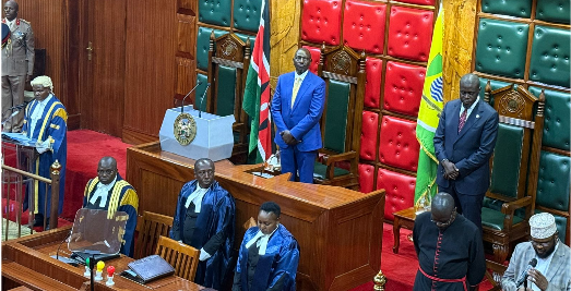 Ruto makes history as first President to address county assembly