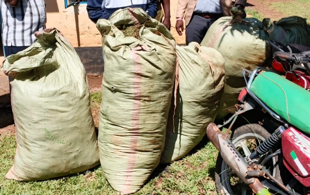 Butere drug bust: Suspect arrested in raid yielding 155kg cannabis