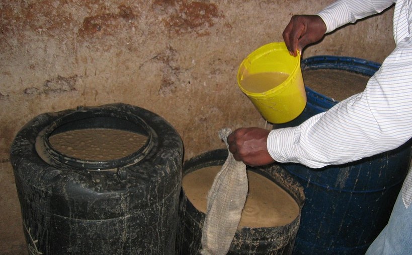 Busia Petition to Legalise Busaa Sparks Mixed Reactions