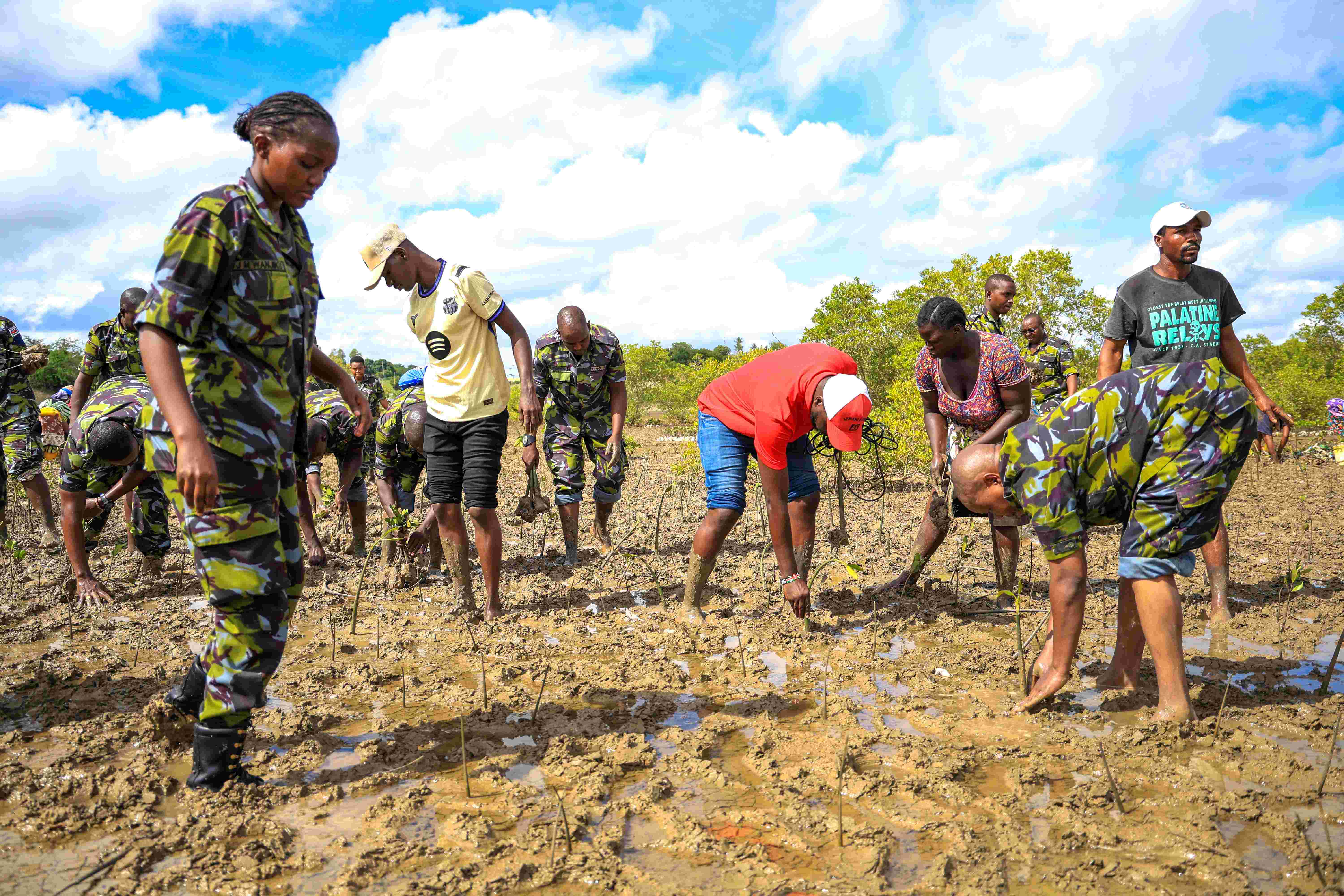 Partner with us in planting mangroves, Kwale residents urge corporates