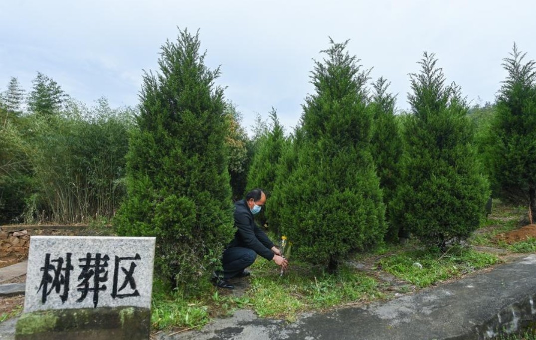 Eco-friendly burials take root in China
