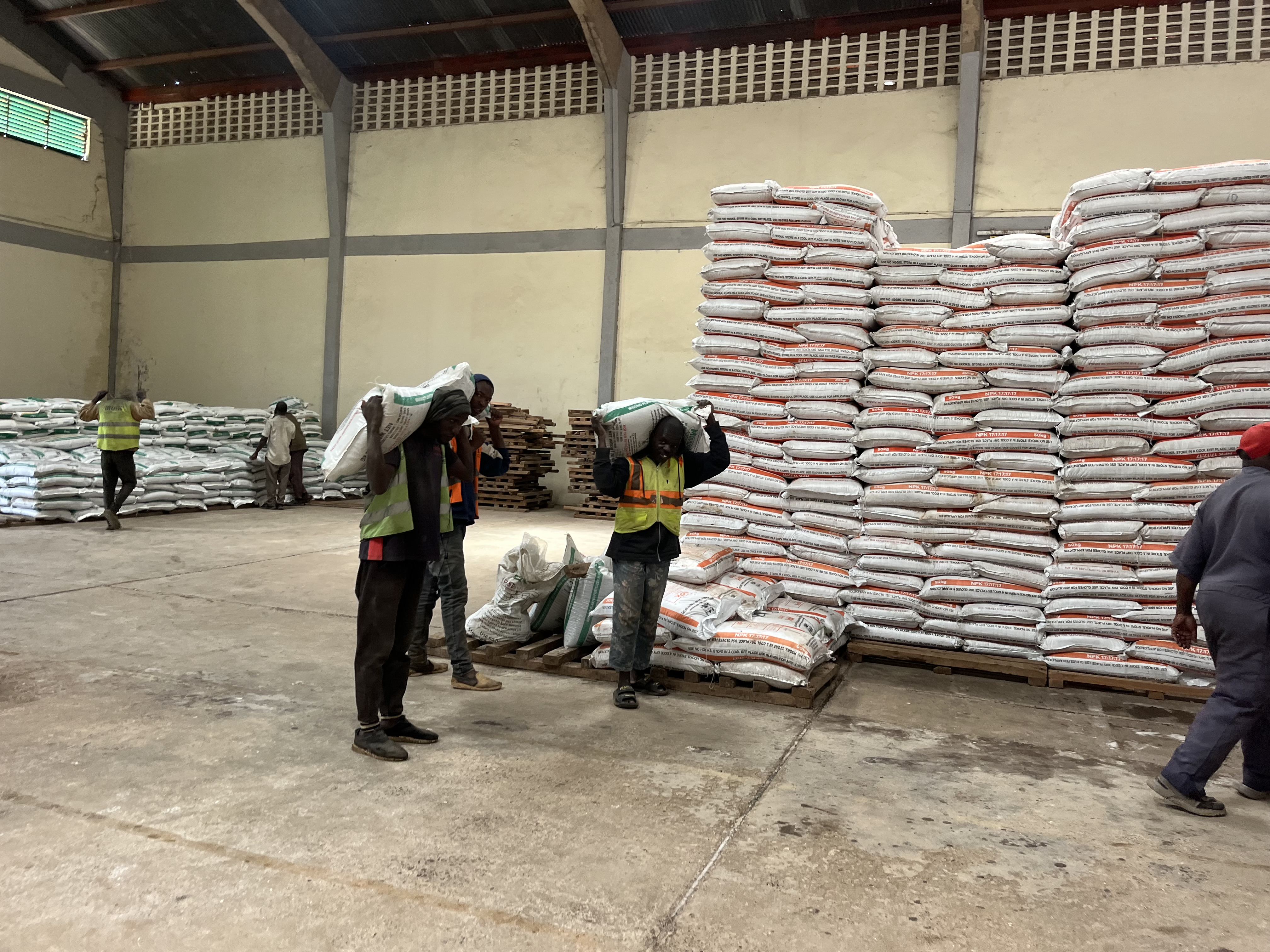 North Rift farmers delay planting as shortage of subsidised fertiliser persists