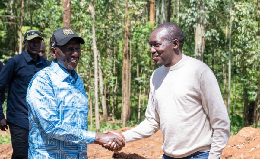 Ruto courts ODM bigshots ahead of 2027