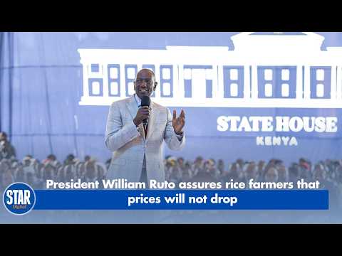 President William Ruto assures rice farmers that prices will not drop