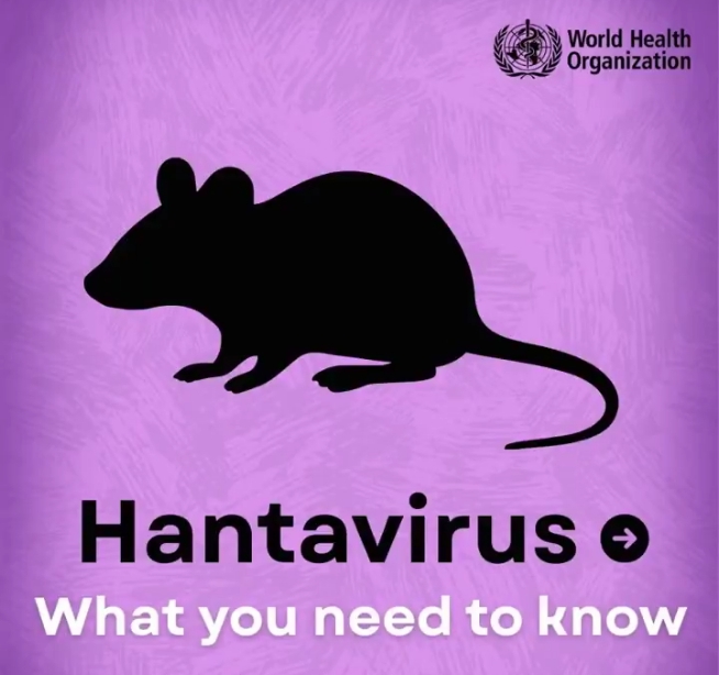 Hantavirus