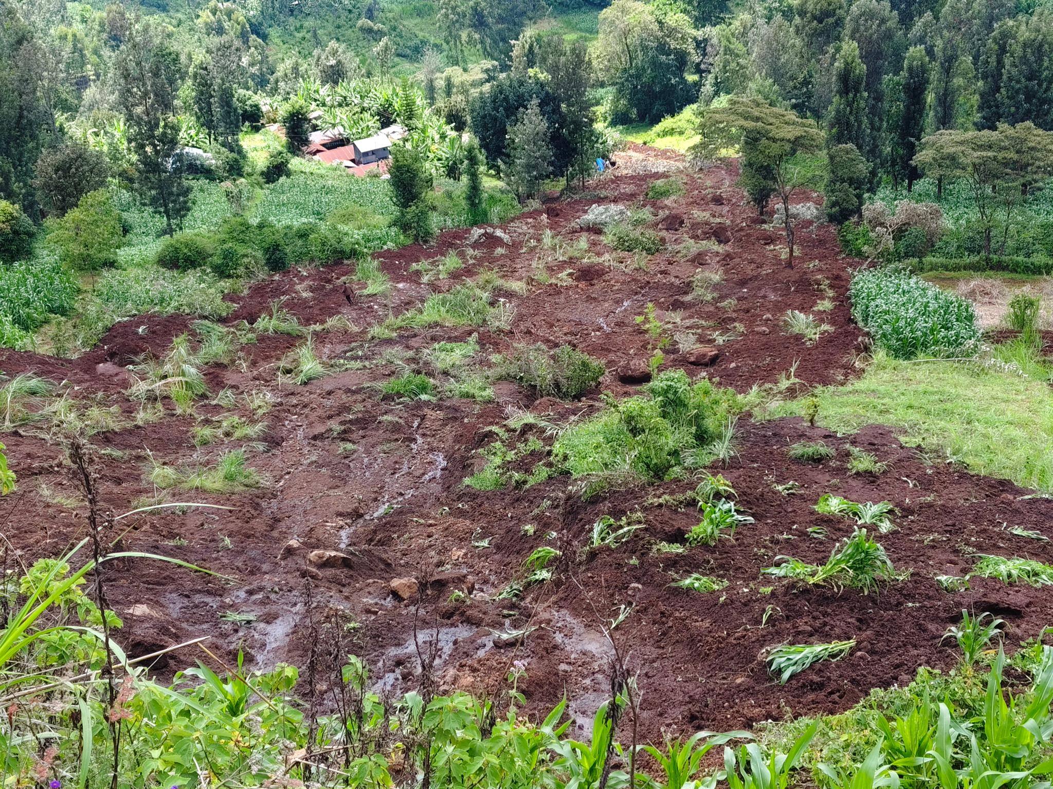 The landslide that killed one in Ngutu village, Mathioya constituency, Murang'a county on May 6, 2026/ ALICE WAITHERA