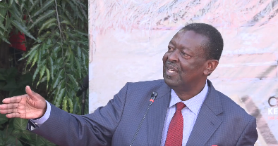 Mudavadi hails Kenya’s progress in war against jiggers