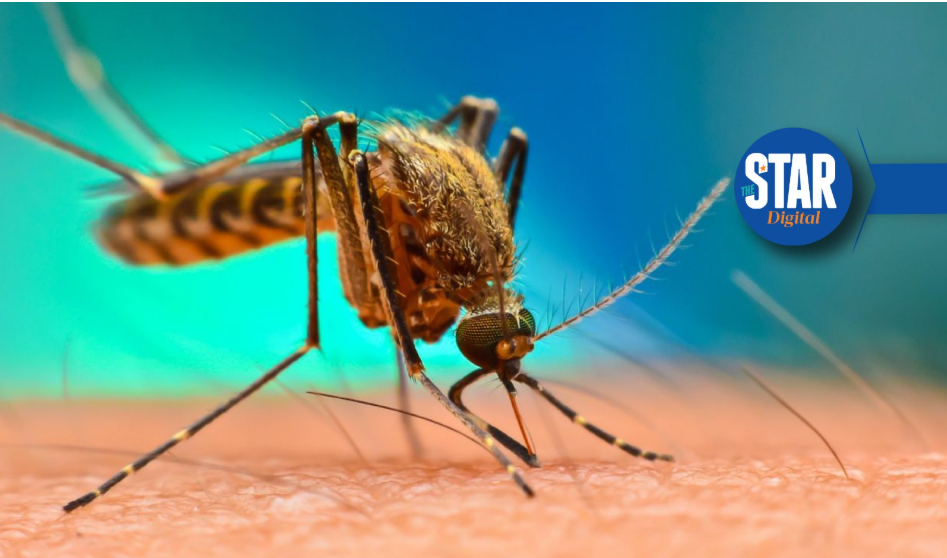 Scientists discover why some Kenyans never get malaria