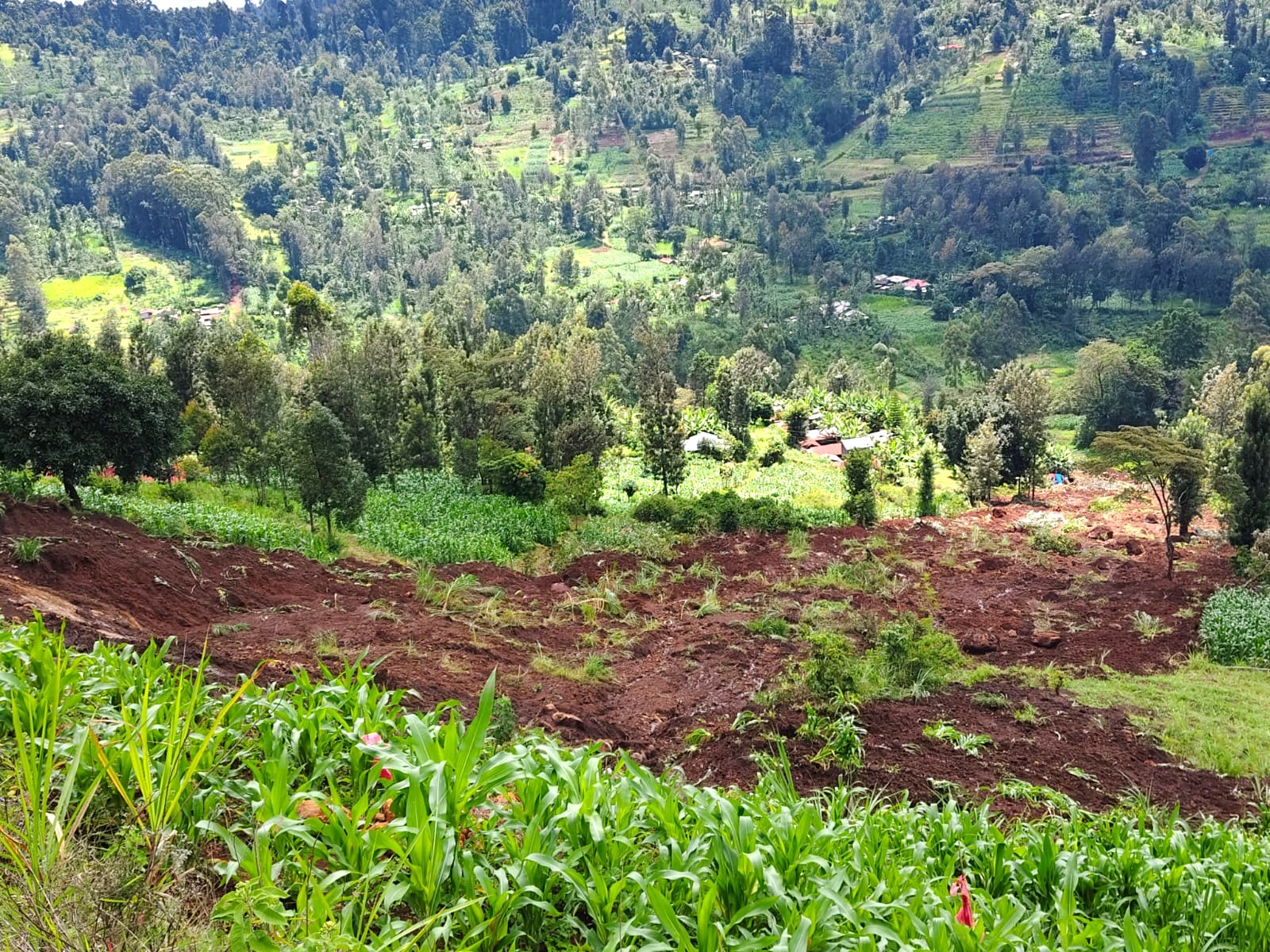 The landslide that occurred at Ngutu village in Mathioya last week, killing one and displacing several households/ ALICE WAITHERA
