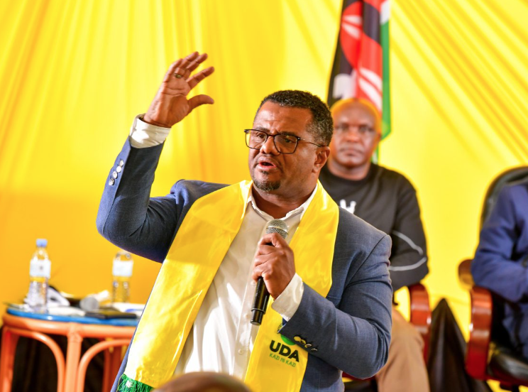 How UDA SG remarks hand anti-Ruto camp fresh political artillery