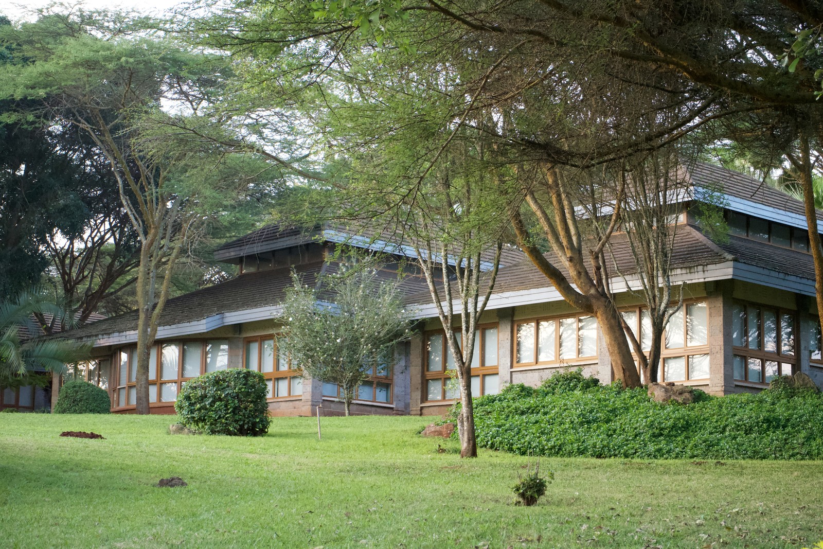 How SDA faithful were drawn into botched scheme