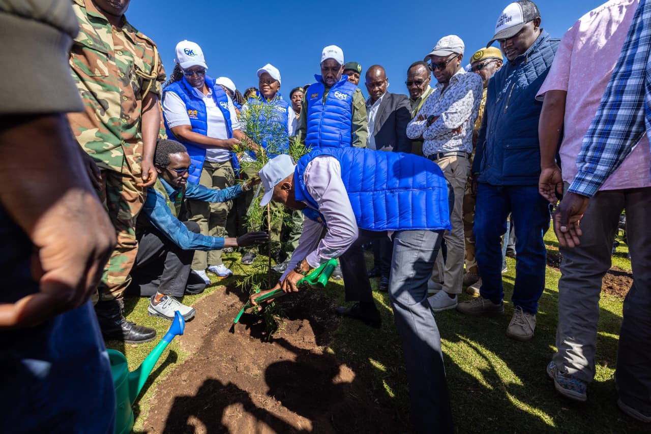 [PHOTOS] Kindiki launches bid to rescue degraded Cherangany ecosystem