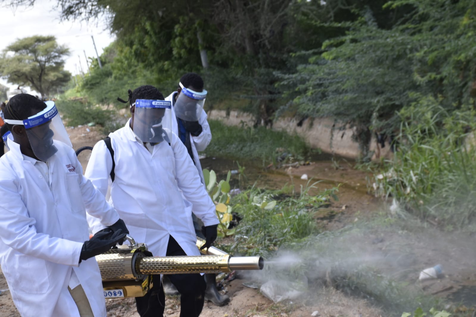 Garissa begins massive fumigation to contain spread of dengue fever