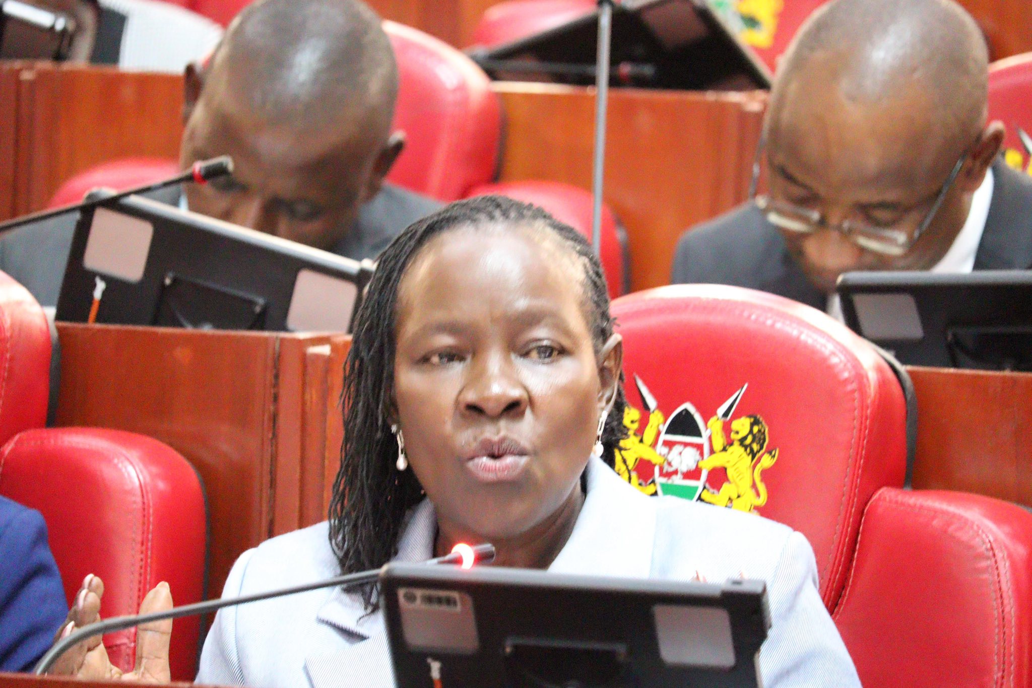 Education departments decry funding shortfalls before MPs