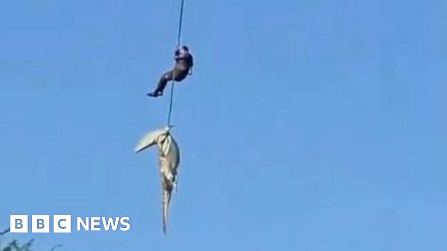 Cop tells of operation to retrieve human remains from crocodile