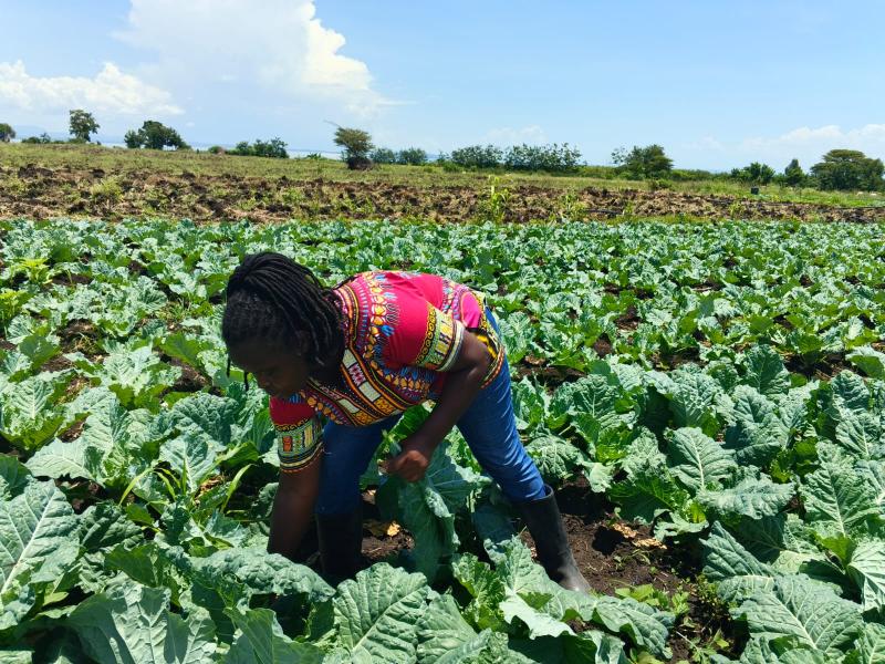 Report: Kenya’s food shortages present major business opportunities for youth
