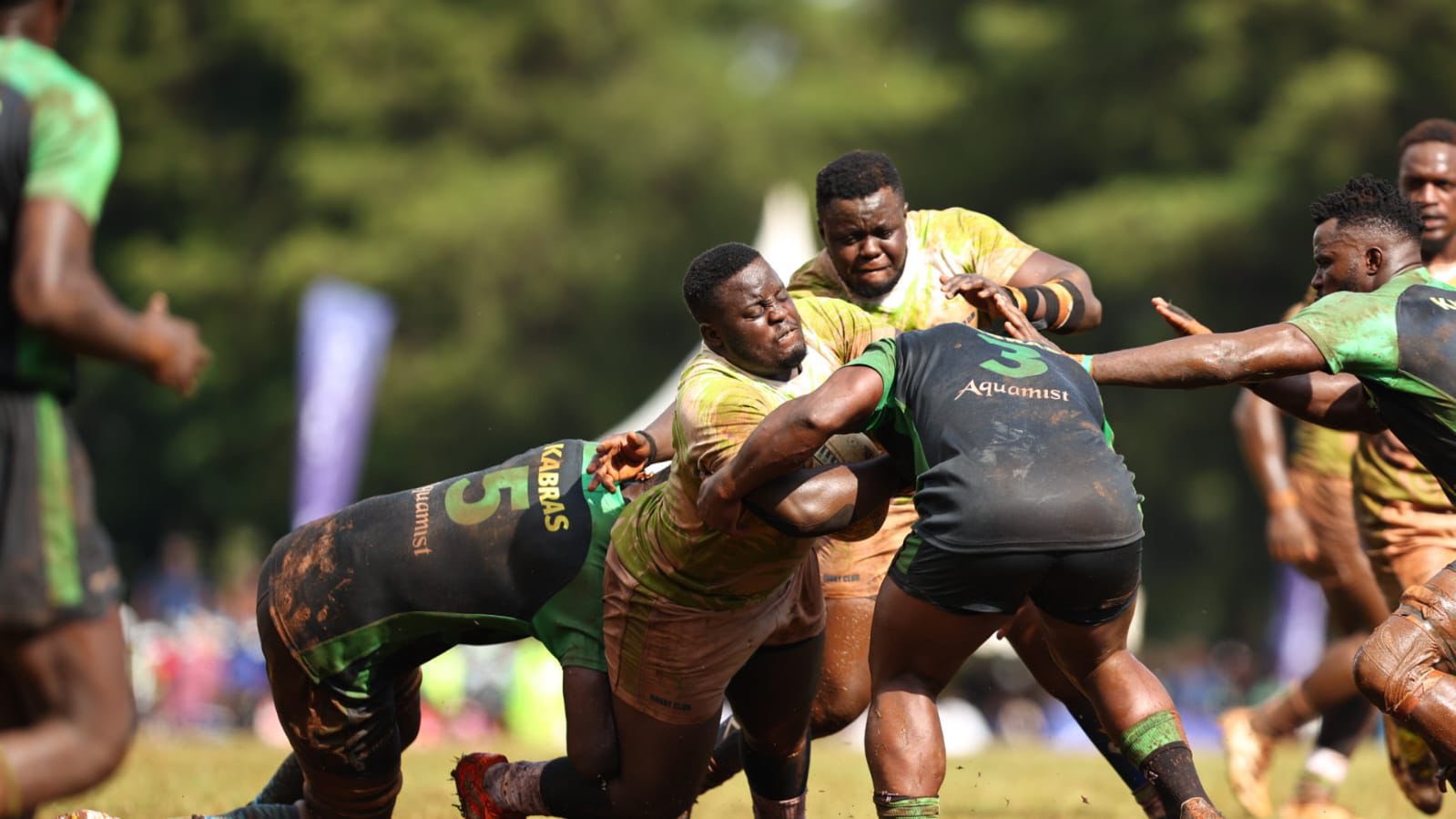 Action between KCB and Kabras Sugar
