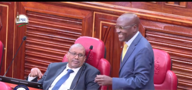 Kakamega Senator Bonny Khalwale in the senate on May 6, 2026/SCREENGRAB