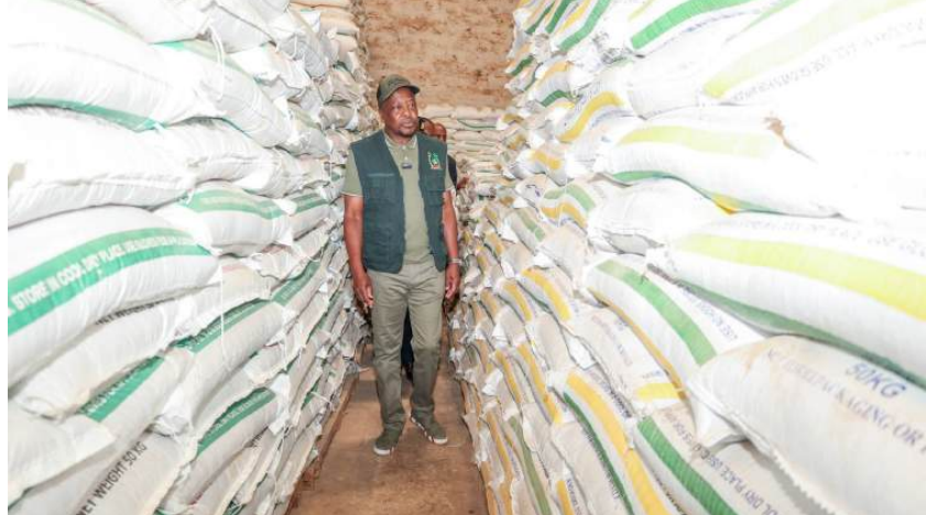 Agriculture and Livestock Production Cabinet Secretary Mutahi Kagwe during a tour of the National Cereals and Produce Board depot at Sagana Complex on  January 26 /KNA