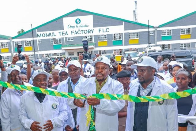 Kenya seeks new tea markets in North Africa, North America