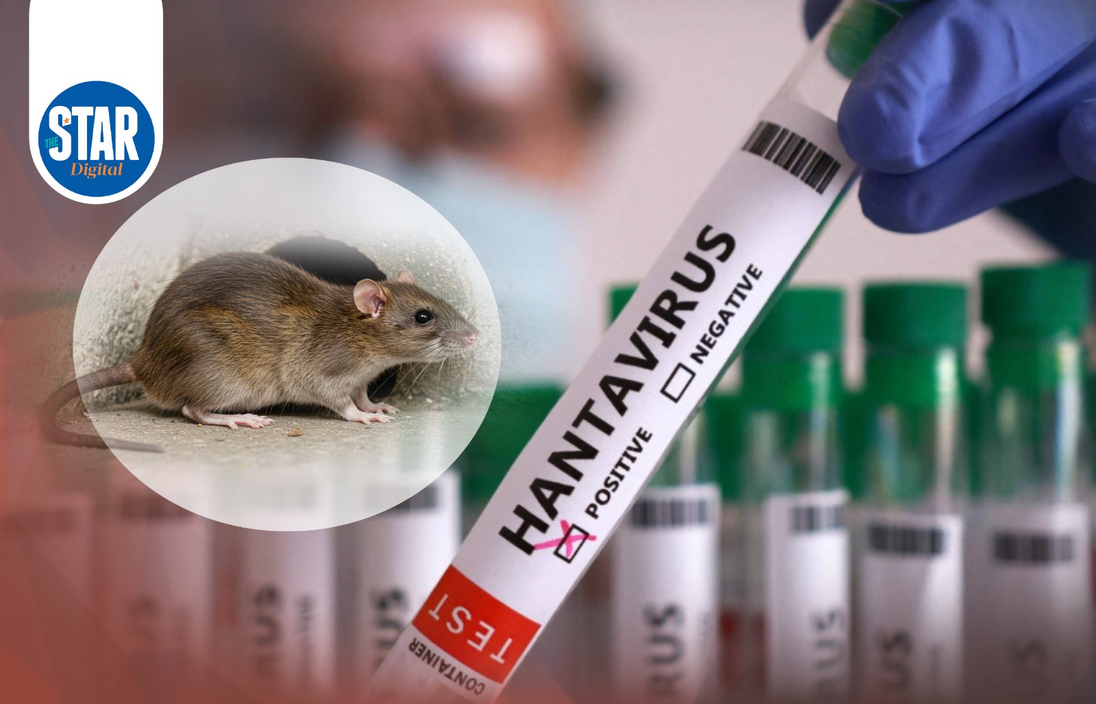What we know about hantavirus outtbreak so far