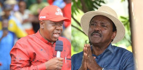 Kalonzo-Matiang’i best pair to face Ruto — poll