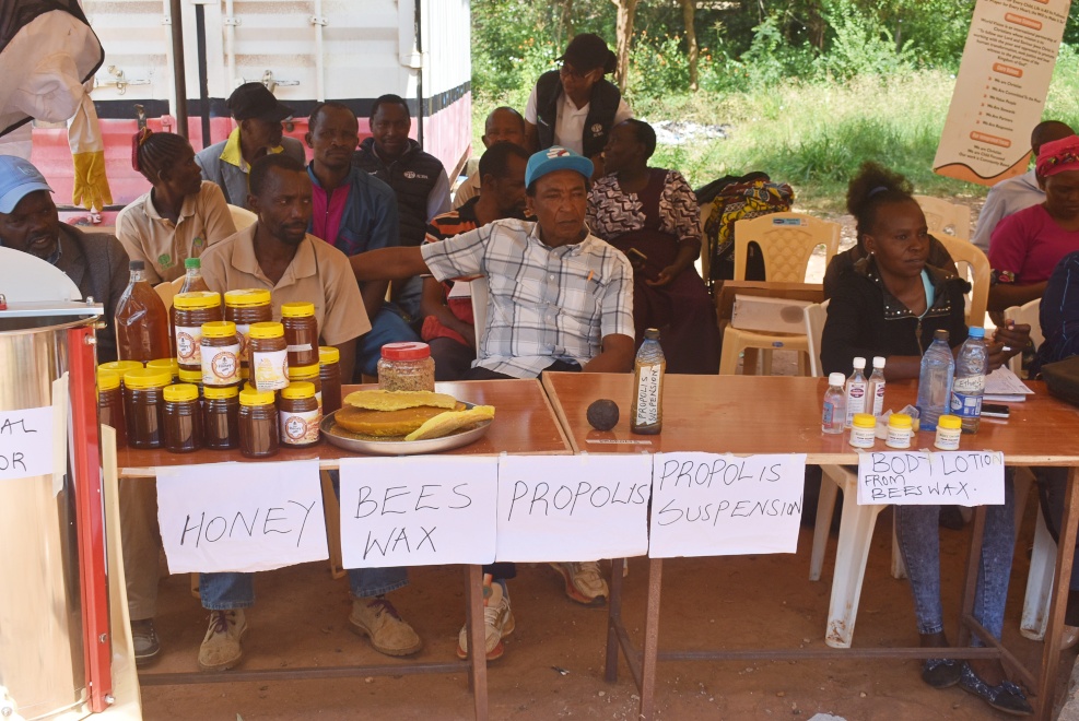 Revive beekeeping to boost your incomes, official urges residents