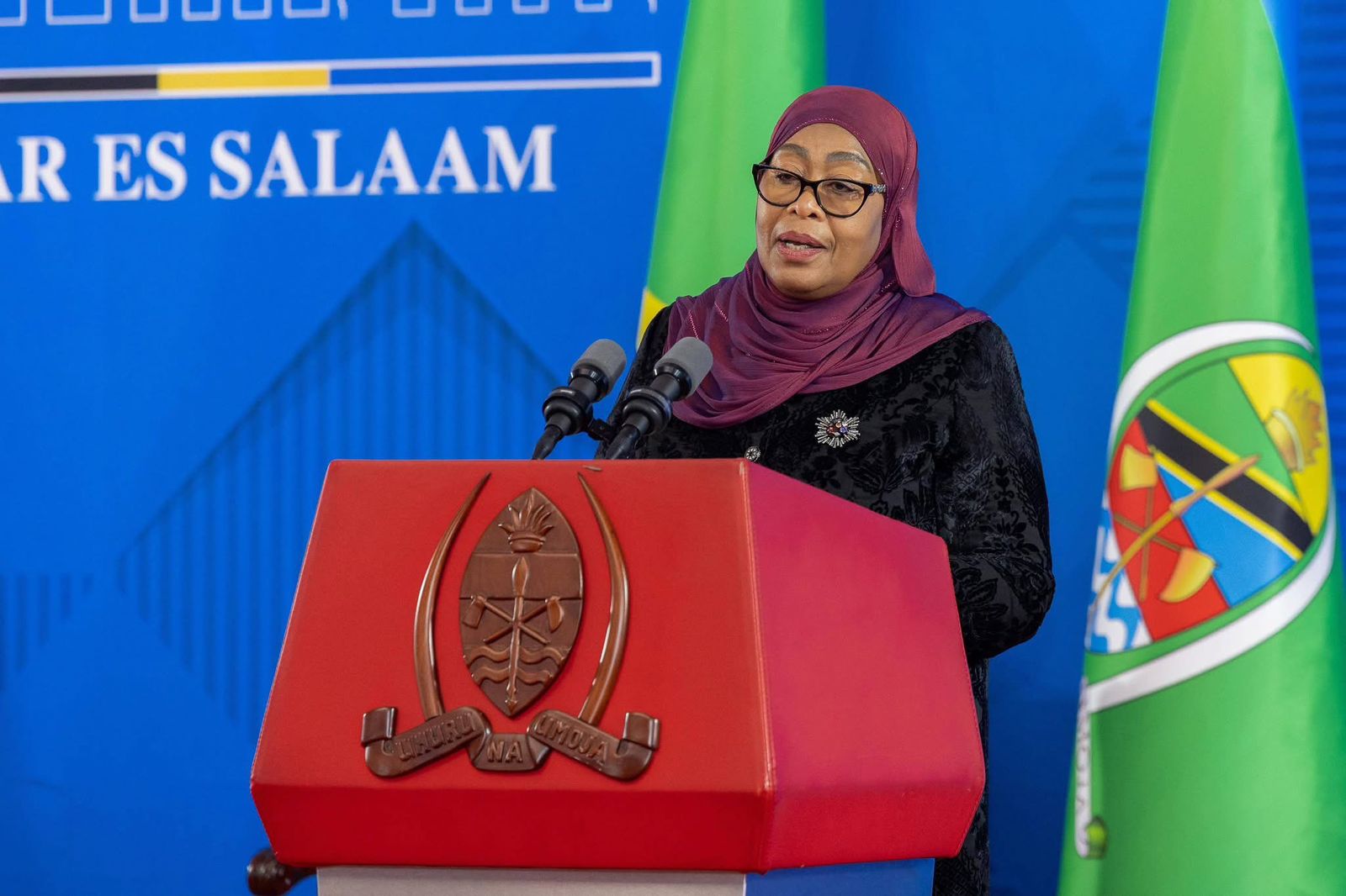 Tanzania President Samia Suluhu speaking at State House in Dar Es Salaam / PCS