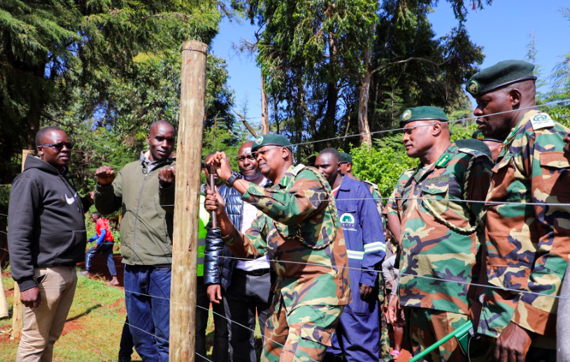 KFS equips officers to save endangered bees