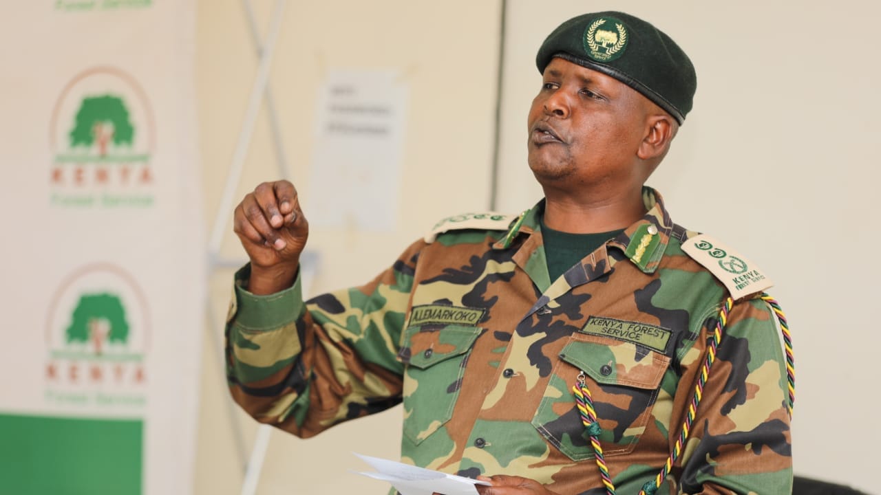 Protect bees or risk ecological crisis, KFS warns Kenyans