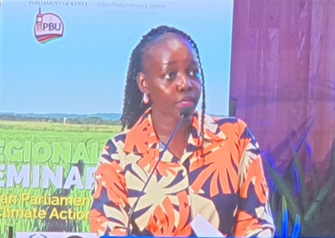 KEMRI expert warns air pollution claims 27,000 Kenyan lives a year