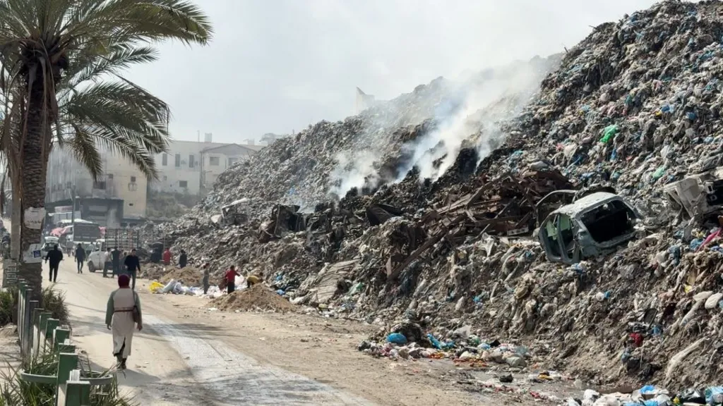 Rats and weasels infest camps for displaced Gazans