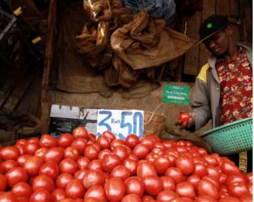 Tomatoes on sale at Harambee market in Kangemi on Wednesday /ENOS TECHE