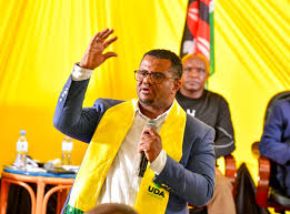 Why Mt Kenya MPs could be plotting to ditch UDA