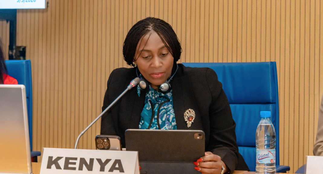 Public Health and Professional Standards PS Mary Muthoni during during a high-level consultative meeting on cross-border collaboration for health security in Brazzaville, May 6, 2026. /MARY MUTHONI/X