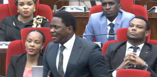 Tanzanian MP Elibariki Kingu speaking in Dodoma on May 5, 2026 / Screengrab