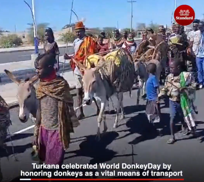 Residents of Turkana County mark World Donkey Day on May 8, 2026, calling for protection of donkeys