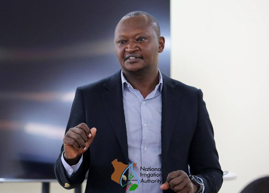 Kenya launches national baseline survey to boost rice production