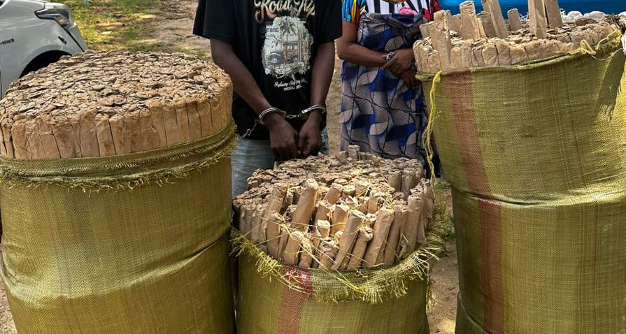 Two arrested, bhang worth Sh4.2m seized in Kilifi