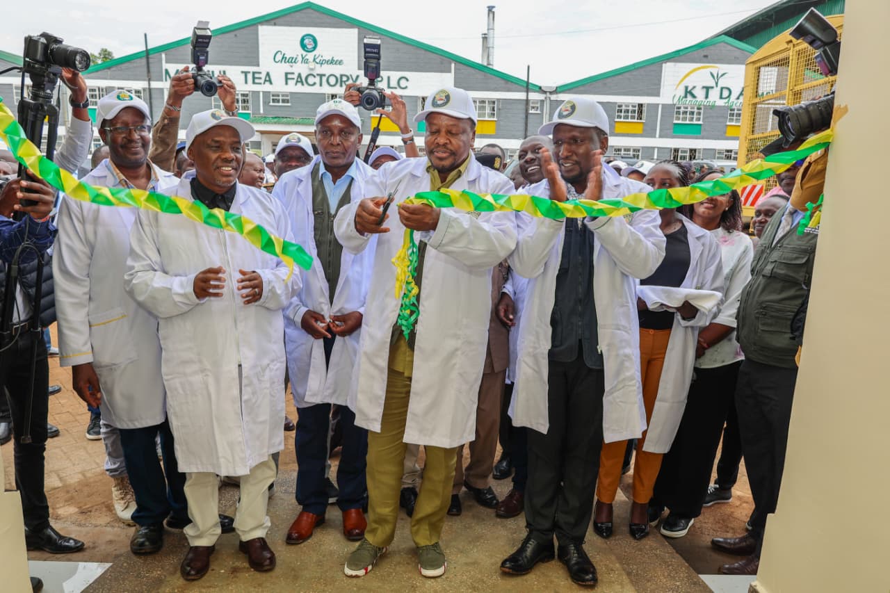 Tea levy not a burden, but a tool for growth, says Kagwe