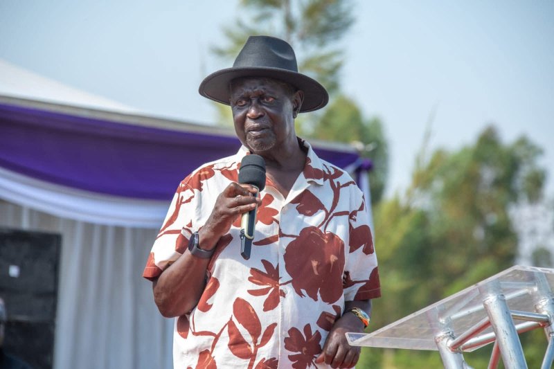 Oburu woos Ugenya MP as leaders rally behind Ruto alliance