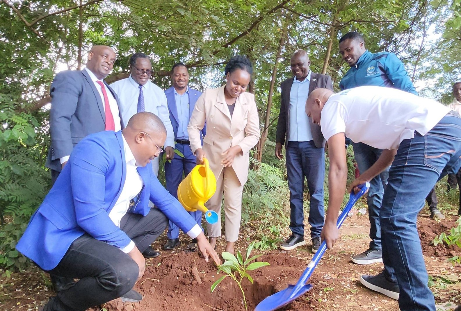 Murang’a water firms donate 10K fruit tree seedlings to promote conservation