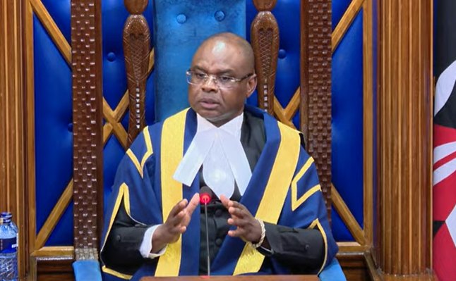 Senate: Gachagua’s ruling could erode Parliament's authority