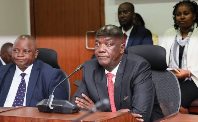 Senate orders audit on Sh1bn Kilifi county revenue deal