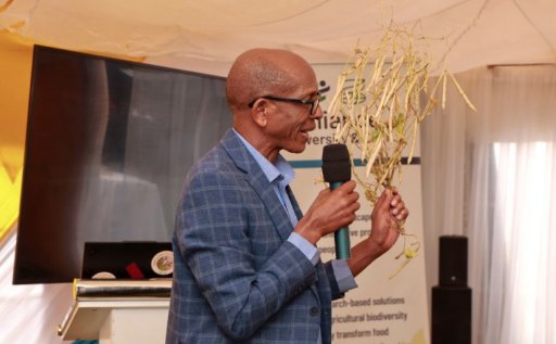 Africa has tools to transform food systems, say experts